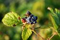 2009-10-09, Niedrigwasser (5)